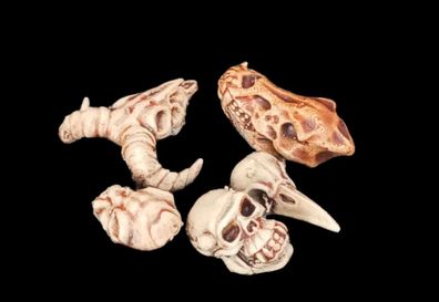 10 animal skulls schädel 28/32mm / tabletop / basing bits / modellbau