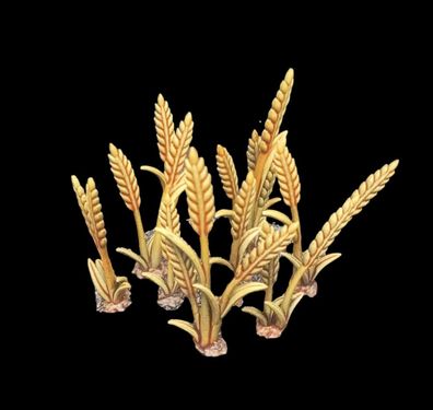 20x Tabletop Korn 28/32mm für / bits / basing / modellbau