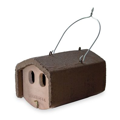 Naturschutzprodukt Nischenbrüterhöhle Typ 1N räubersicher Flugloch 30 x 50 mm