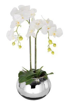 Fink Orchidee, Kunstblume, Kunstfasern, weiß, L. 70 cm, B. 15 cm, H. 1 cm Höhe: