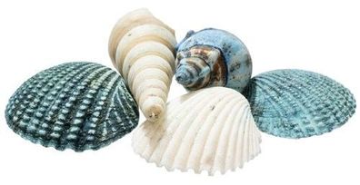 Muschel Mix blau 1 kg