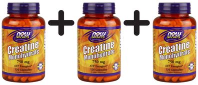 3 x NOW Foods Creatine Monohydrate, 750mg - 120 vcaps