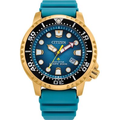 Citizen - BN0162-02X - Promaster-Tauchgang