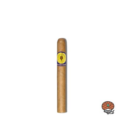 Santa Damiana Classic Corona Zigarren Dominikanische Republik