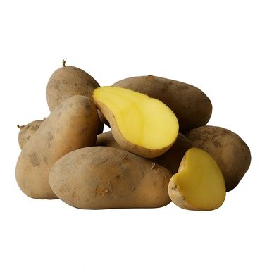 Kartoffeln Nixe mehligkochende Kartoffel 1–25 kg – deutsche Speisekartoffeln aus neue