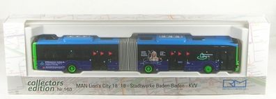 MAN Lion´s City 18 ´18 Stadtwerke Baden-Baden - KVV Linie: 201 Ziel: Bahnhof B--Ba