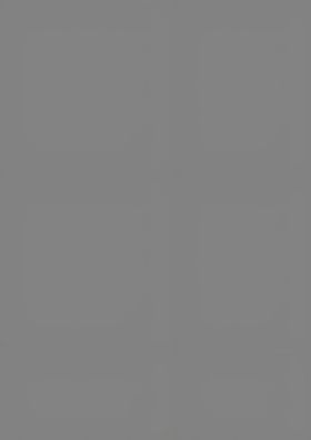 Brunnen Universalpapier A4 160g weiss 25 Blatt 105122500