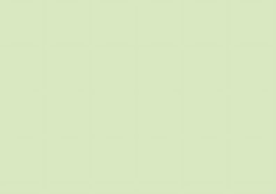 Brunnen Karteikarte A5 unliniert/blanko grün 100 Stück 102250050