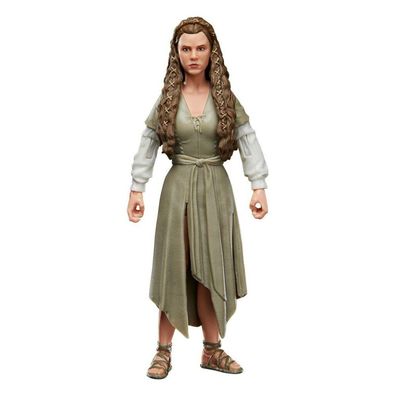 Star Wars Episode VI Black Series Actionfigur 2022 Princess Lei