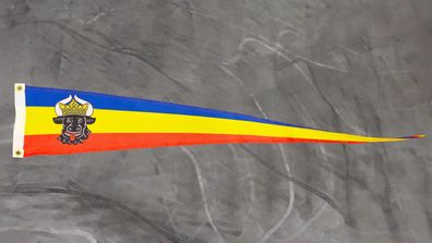Fahne Flagge Mecklenburg Ochsenkopf Wimpel Langwimpel - 30 x 150 cm
