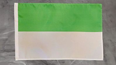 Fahne Flagge Schützenfest Grün Weiss Weiß - Stockfahne - 30 x 45 cm