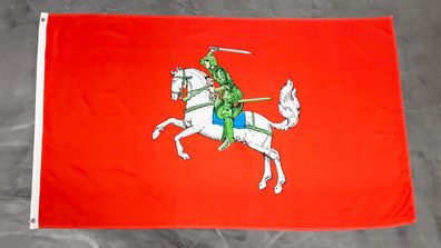 Fahne Flagge Bauernrepublik Dithmarschen - Grüner Ritter - 90 x 150 cm