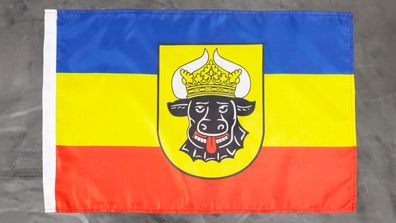 Fahne Flagge Mecklenburg Ochsenkopf - Stockfahne - 30 x 45 cm