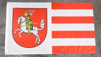 Premium Fahne Flagge Dithmarschen - 90 x 150 cm