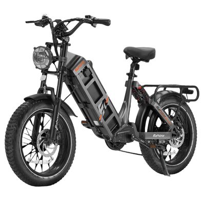Großer Reichweite 20 Zoll E-Mountainbike mit 48V 60Ah Akku Doppelfederung E-Bike