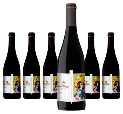 6 x Faustino Art Collection Crianza – 2022