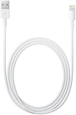 Apple Lightning-auf-USB-Kabel (0,5 m)