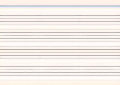 RNK Karteikarte A6 liniert 100St farblich sortiert