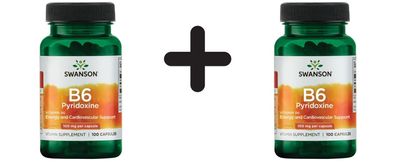 2 x Swanson Vitamin B-6 (Pyridoxine), 100mg - 100 caps