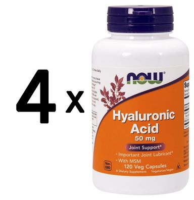 4 x NOW Foods Hyaluronic Acid with MSM, 50mg - 120 vcaps