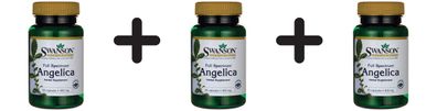 3 x Swanson Full Spectrum Angelica Root, 400mg - 60 caps
