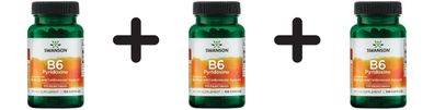 3 x Swanson Vitamin B-6 (Pyridoxine), 100mg - 100 caps