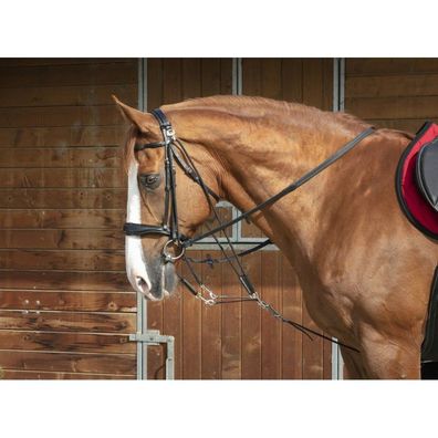 NORTON PRO Gogue mit Umlenkrollen in zwei Farben