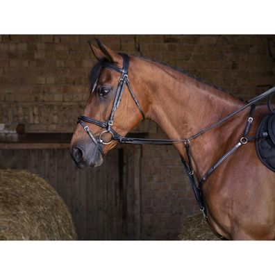 ERIC THOMAS HYBRID Vorderzeug in schwarz und havana