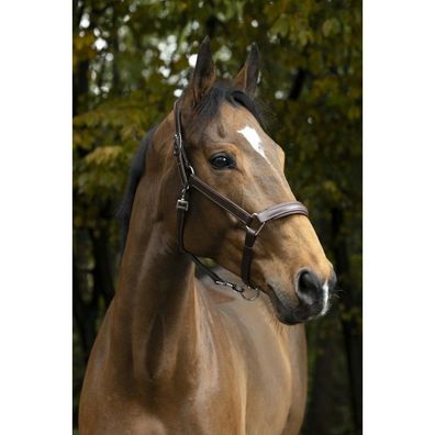 NORTON PRO anatomisches Halfter in havana und schwarz