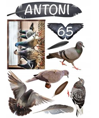 Taube Essbar Tortenaufleger Torte Geburstag Zuckermasse + NAME