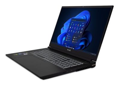 TERRA MOBILE GAMER ELITE 5v3 i9-14900HX W11P, Intel® Core™ i9, 2,2 GHz, 43,9 cm (17.3