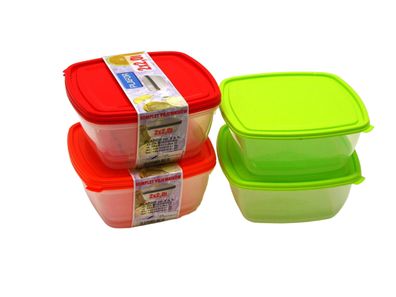 Gefrierdosen 2er Set 2 Liter