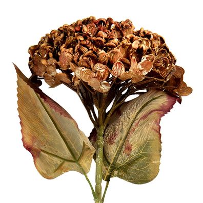 Clayre & Eef Kunstblume 15x15x47 cm Braun Kunststoff (Gr. 15x15x47 cm)