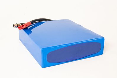 Lithium-Ionen Akku 24V 60Ah 1440Wh Akkupack incl. 60A BMS & Ladegerät für Scooter