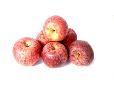 Frische Gala Äpfel vom Bodensee knackig-süßer Apfel 1-10 KG
