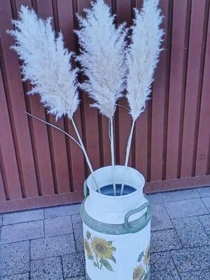 1,80€/St) Pampasgras 20 Stück 100 cm getrocknet Trockenblume Gras Dekoration