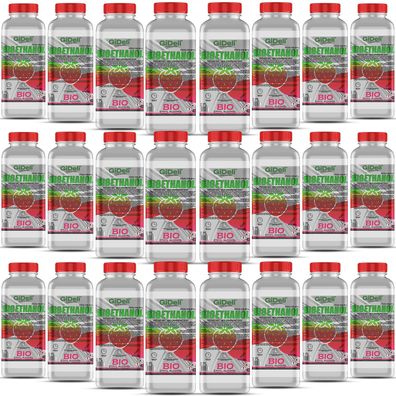 GiDeli bioethanol 24 x 1l Walderdbeerduft 96,6% Ethanol für Innen & Außenkamine