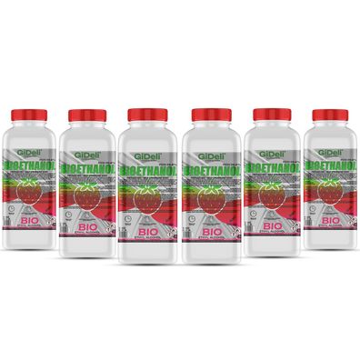 GiDeli bioethanol 6 x 1l Walderdbeerduft 96,6% Ethanol für Innen & Außenkamine