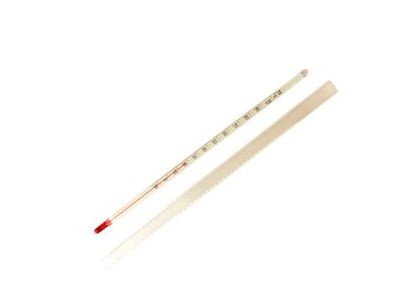 Hecht" Thermometer 30 cm | -10° bis + 113°C | Universal