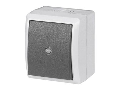 REV RITTER AquaForm gr AP Kontroll-Schalter