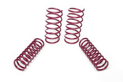 Vogtland Sportfedernsatz 951026 für BMW 5 E34, Typ 5/H, Lim., Touring, ab 525i, ohne