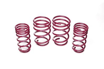 Vogtland Sportfedernsatz 951047 für Mini, Typ N, Cooper, Cooper S