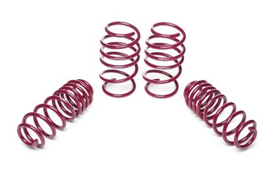Vogtland Sportfedernsatz 951333 für Seat Leon, Typ 5F, VA bis 930 kg, nur Verbundlle