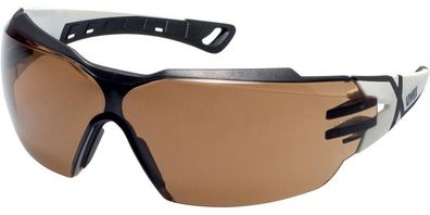 Uvex Schutzbrille Bügelbrille pheos cx2 CBR23 sv exc