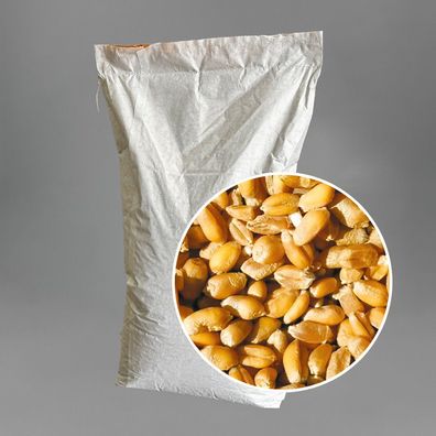 Weizen 25 kg, ganzer Weizen Futterweizen gereinigt Hühnerfutter, Wildfutter