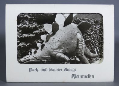 Foto-AK Mappe 10 Stück Park- und Saurier-Anlage Kleinwelka DDR VEB 1985