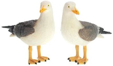 Möwen Duo links-rechts