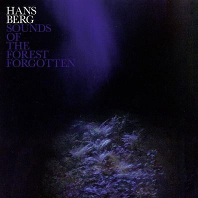Hans Berg: Hans Berg: Sounds Of Forgotten - jpc Schallplatten