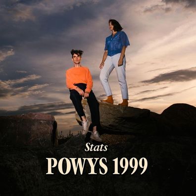 Stats: Stats: Powys 1999 (Limited Edition) (Crystal Vinyl) - M