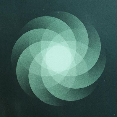 SOM: The Shape Of Everything (black Vinyl) - 375 Media - (LP